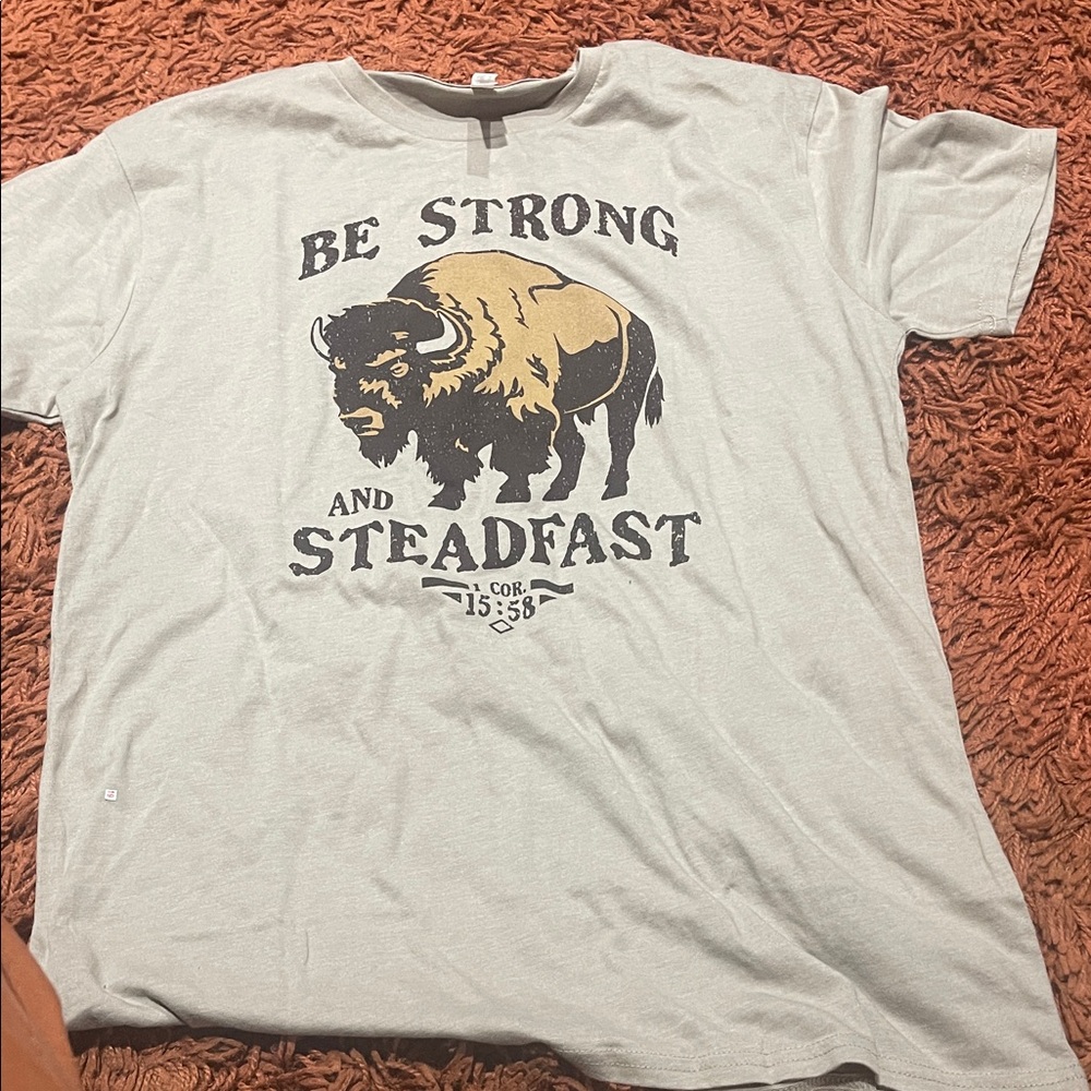 Be Strong and Steadfast Buffalo Graphic Men’s T-Shirt - Light Gray